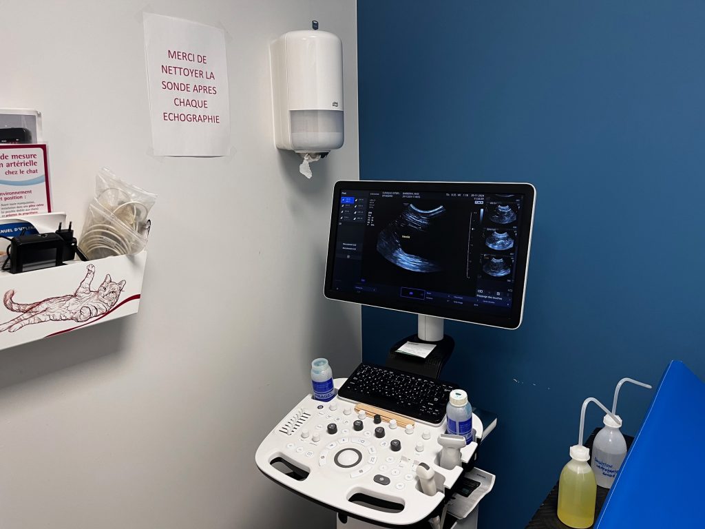 Échographie