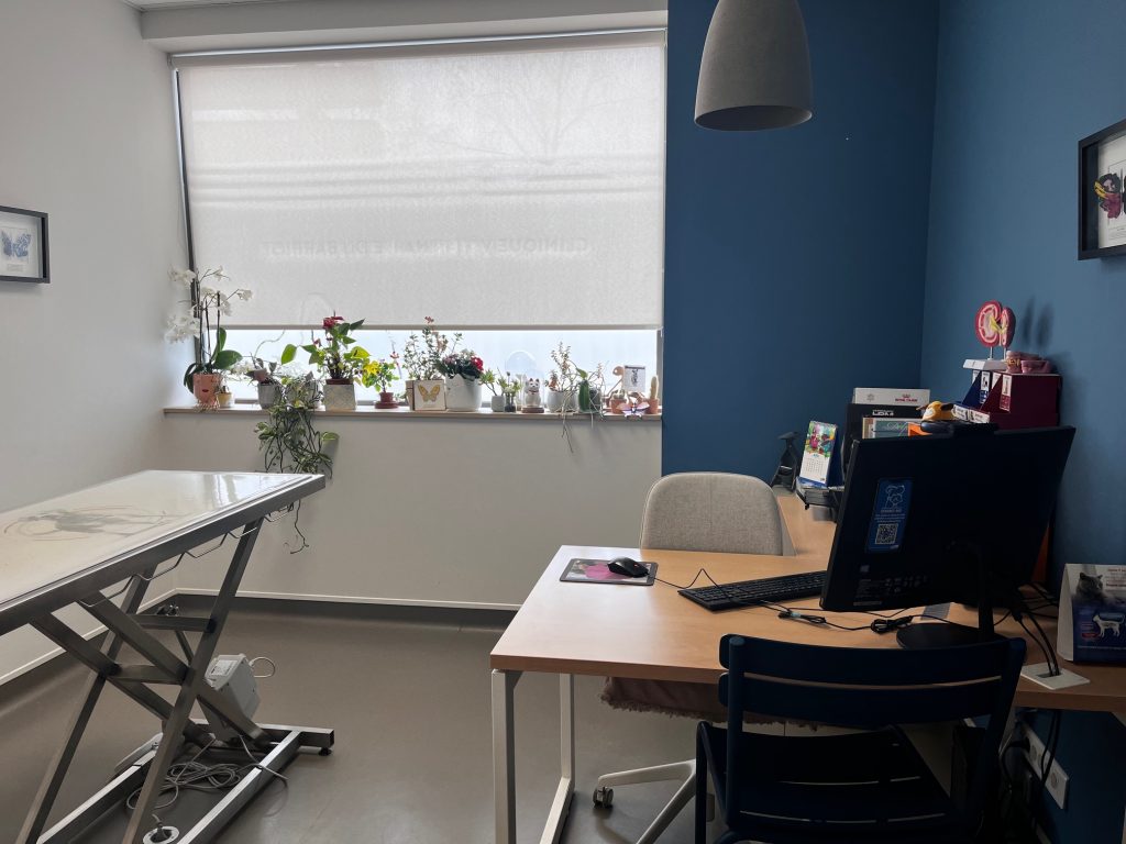 Consultation Dr Bibard